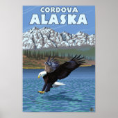 Bald-Adler-Tauchen - Cordova, Alaska Poster (Vorne)