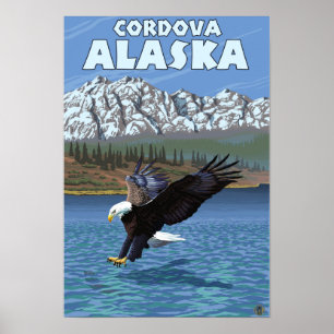 Bald-Adler-Tauchen - Cordova, Alaska Poster