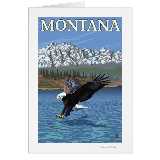 Bald-Adler-Tauchen - Montana (Vorne)