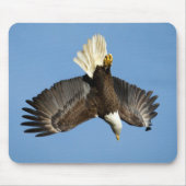Bald-Adler taucht ins Wasser Mousepad (Vorne)