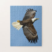 Bald-Adler taucht ins Wasser Puzzle (Vertikal)