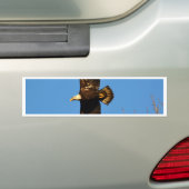 Bald-Adler über Bäumen Autoaufkleber (Auf Auto)