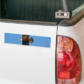 Bald-Adler über Bäumen Autoaufkleber (Auf Lkw)