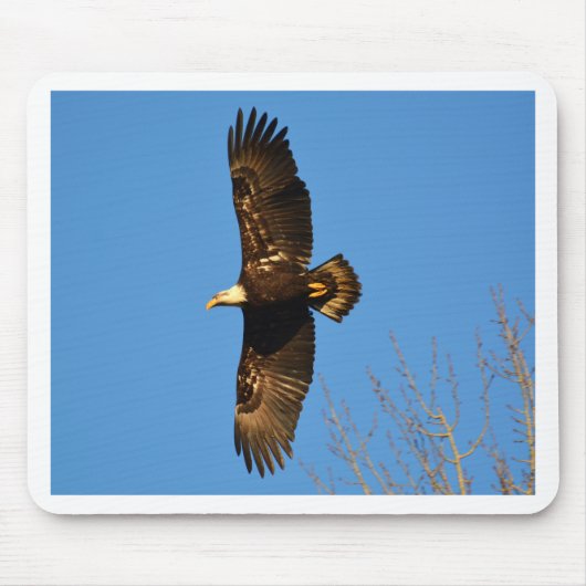 Bald-Adler über Bäumen Mousepad (Vorne)