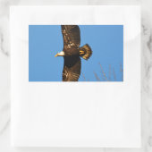 Bald-Adler über Bäumen Rechteckiger Aufkleber (Tasche)
