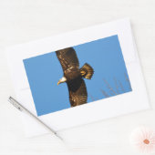 Bald-Adler über Bäumen Rechteckiger Aufkleber (Umschlag)