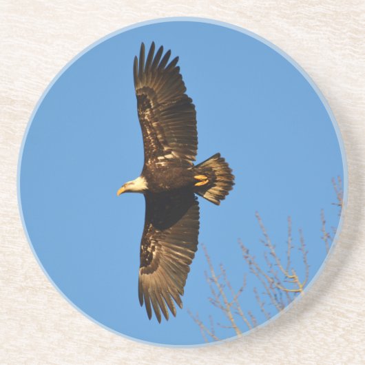 Bald-Adler über Bäumen Sandstein Untersetzer (Vorne)