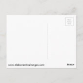 Bald Adler und Feuerwerke Postkarte (Rückseite)