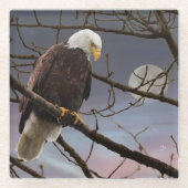 Bald Adler unter Vollmond Glasuntersetzer (Vorderseite)