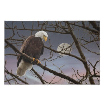 Bald Adler unter Vollmond