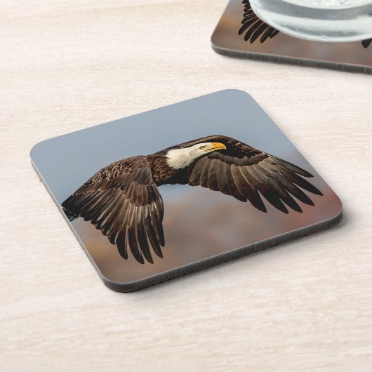 Bald-Adler Untersetzer (Linke Seite)