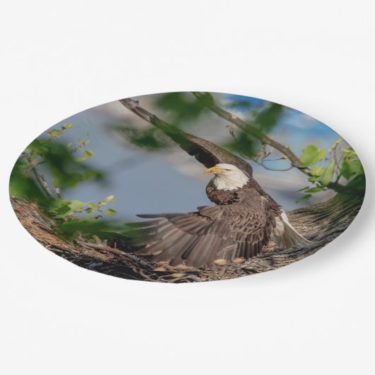 Bald-Adler verlasse das Nest Pappteller (Schrägansicht)