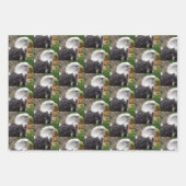 Bald-Adler - Verpackungspapierblätter Geschenkpapier Set (Vorderseite)