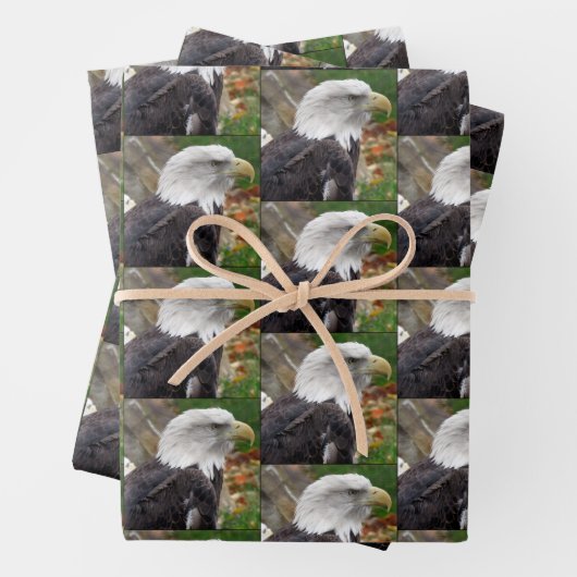 Bald-Adler - Verpackungspapierblätter Geschenkpapier Set (Beispiel)