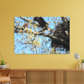 Bald-Adlerpaar auf Nest Leinwanddruck (Insitu (Wohnzimmer))