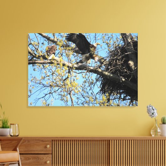 Bald-Adlerpaar auf Nest Leinwanddruck (Insitu (Wohnzimmer))
