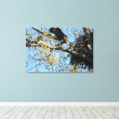 Bald-Adlerpaar auf Nest Leinwanddruck (Insitu (Holzboden))