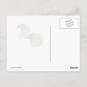 Bald-Adlerpaare in ihrem Nest Postkarte (Rückseite)