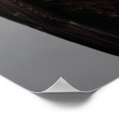 Bald Adlerportrait im Schnee, Haliäetus Poster (Ecke)