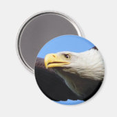 Bald-Adlerprofil Magnet (Vorderseite/Rückseite)