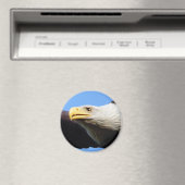Bald-Adlerprofil Magnet (In Situ (Geschirrspüler))