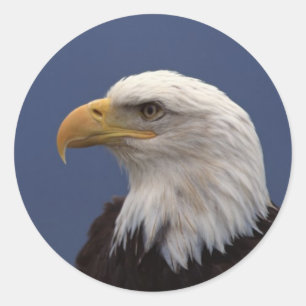 Bald-Adlerprofil Runder Aufkleber