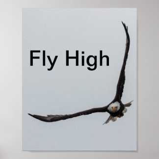 Bald Adlervogel Flug Inspiration Natur Poster