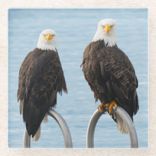 Bald Adles - Attitude Glasuntersetzer (Vorderseite)