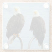 Bald Adles - Attitude Glasuntersetzer (Rückseite)