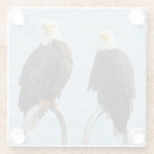 Bald Adles - Attitude Glasuntersetzer (Rückseite)