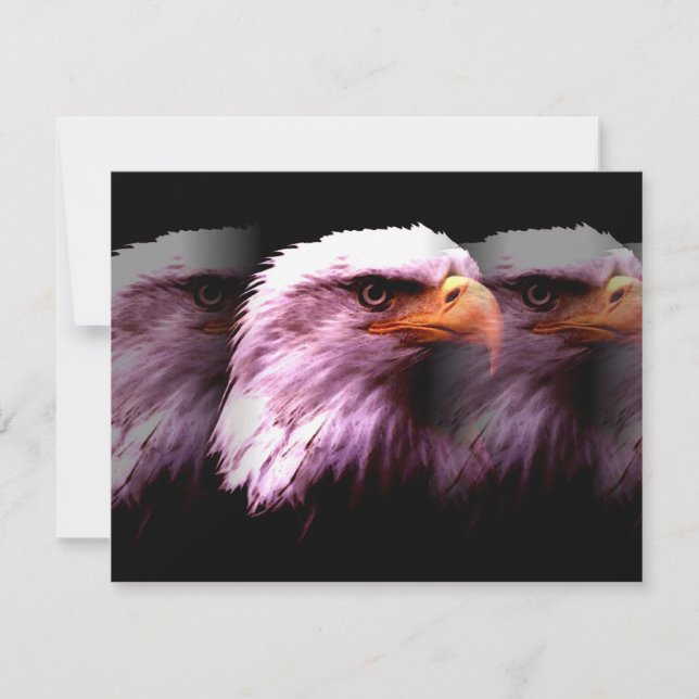 Bald American Eagle (Vorderseite)