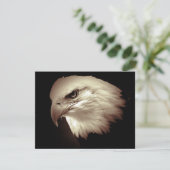 Bald American Eagle Eye Invites Einladung (Stehend Vorderseite)