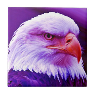 Bald American Eagle Fliese