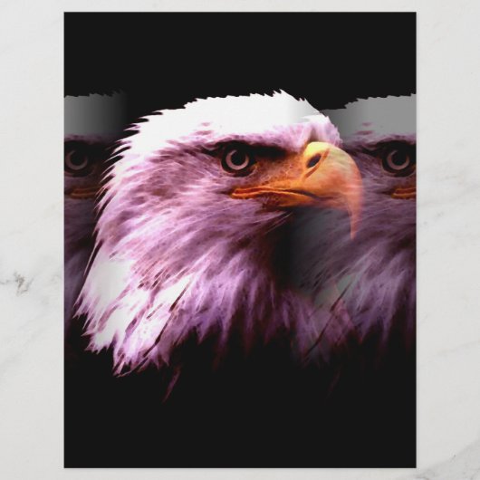 Bald American Eagle Flyer (Vorne)