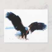 Bald American Eagle Landing Postkarte (Vorderseite)