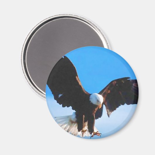 Bald American Eagle Magnet (Vorderseite/Rückseite)