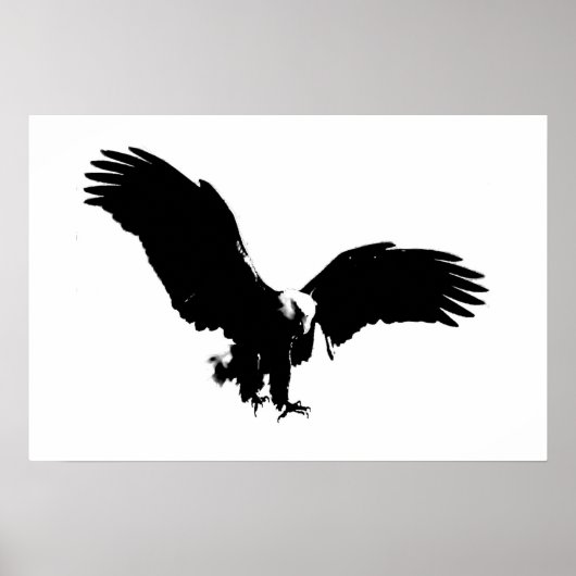 Bald American Eagle Poster Print BW Eagles Posters (Vorne)