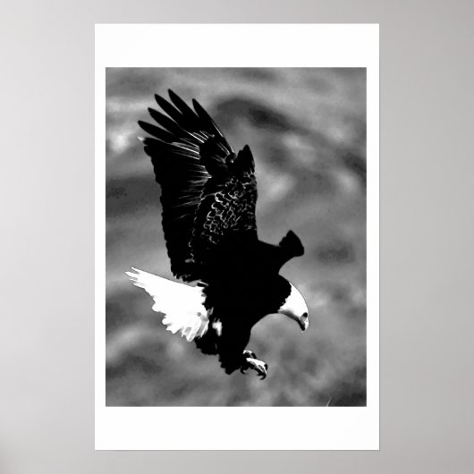 Bald American Eagle Poster Print BW Eagles Posters (Vorne)