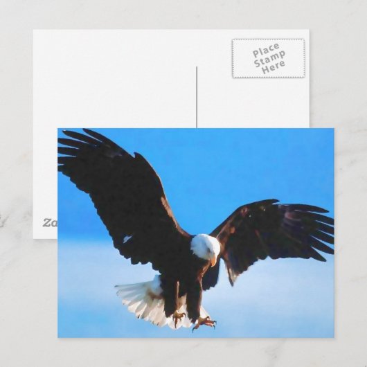 Bald American Eagle Postkarte (Vorne/Hinten)