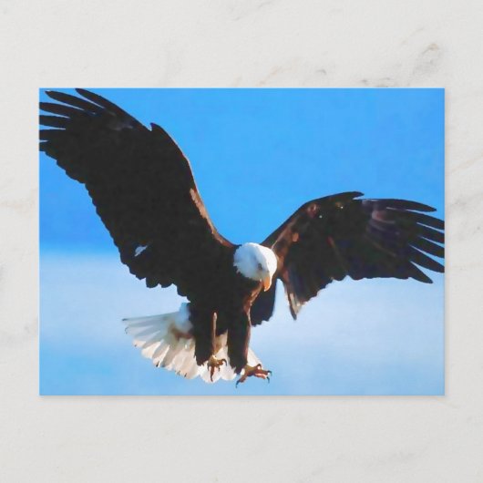 Bald American Eagle Postkarte (Vorderseite)