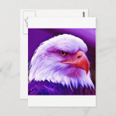 Bald American Eagle Postkarte (Vorne/Hinten)