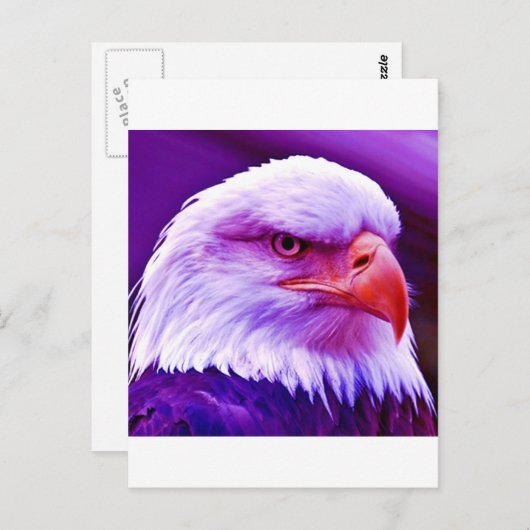 Bald American Eagle Postkarte (Vorne/Hinten)