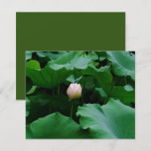 Bald blühen (Vorne/Hinten)