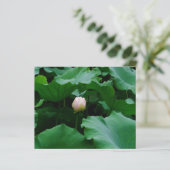 Bald blühen (Stehend Vorderseite)