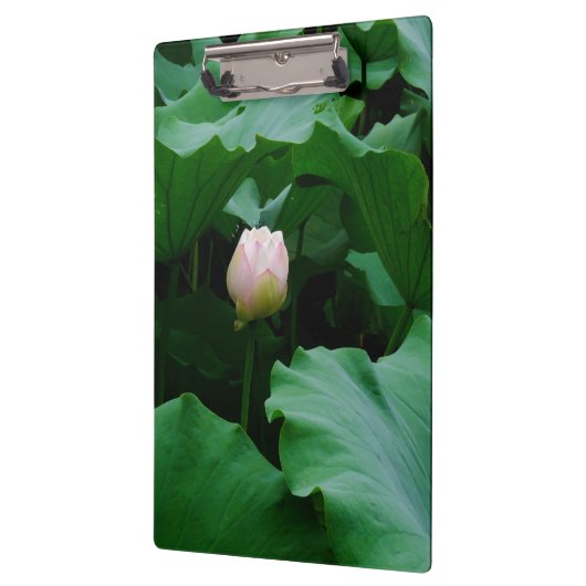 Bald blühen klemmbrett (Links)