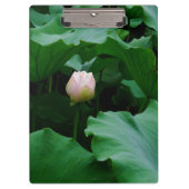 Bald blühen klemmbrett (Vorderseite)