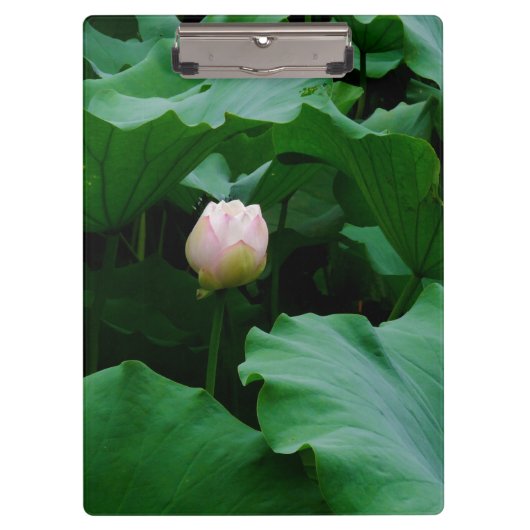 Bald blühen klemmbrett (Vorderseite)