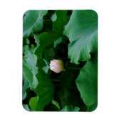 Bald blühen magnet (Vertikal)