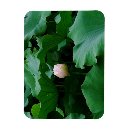 Bald blühen magnet (Vertikal)