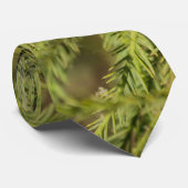 Bald Cypress Branch Neck Tie Krawatte (Gerollt)
